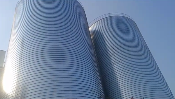 吉州2座混凝土高架卷板仓